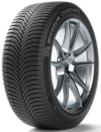 225/50R17 Michelin Crossclimate+ 98 W Universalios