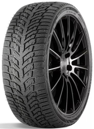 185/55R15 Double Star Doublestar DW08 82 T Žieminės