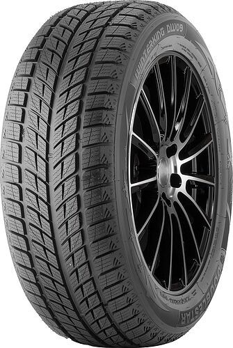 235/55R20 Double Star Doublestar DW09 102 H Žieminės
