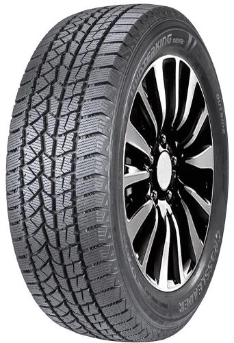 245/55R19 Double Star Doublestar DW02 103 T Žieminės