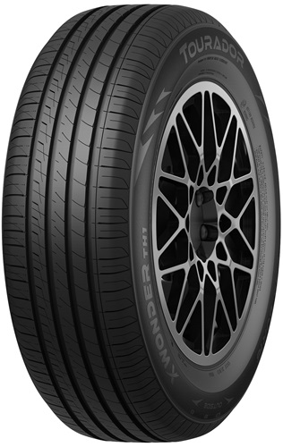 205/55R16 X WONDER TH1 91V